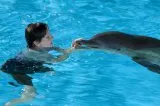 Můj přítel delfín (2011) - Sawyer Nelson