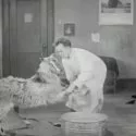 Angora Love (1929)