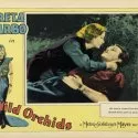 Divoké orchideje (1929)