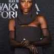 Čierny Panter: Navždy Wakanda (2022) - Aneka