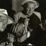 Mít a nemít (1950)