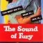 The Sound of Fury (1950)