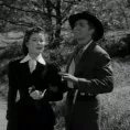 The Law and the Lady (1951) - Juan Dinas