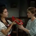 Světýlka z blat (1992) - Markyta
