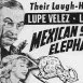 Mexican Spitfire's Elephant (1942)