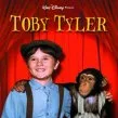Toby Tyler (1960) - Toby Tyler