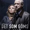 Det som göms i snö 2018 (2018-?) - Barbro Svensson