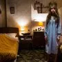 The Enfield Haunting (2015) - Janet Hodgson