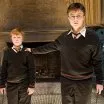 Harry Potter a Fénixův řád (2007) - Nigel 2nd Year