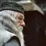 Harry Potter a Fénixův řád (2007) - Albus Dumbledore