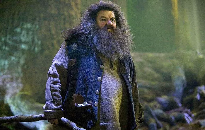 Robbie Coltrane (Rubeus Hagrid)