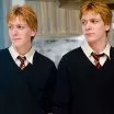 Harry Potter a Fénixův řád (2007) - George Weasley