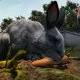 Watership Down (2018) - Bluebell