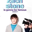 Zach Stone Is Gonna Be Famous (2013)