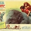 Taffy and the Jungle Hunter (1965)