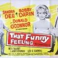That Funny Feeling (1965)
