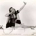The Petty Girl (1950)