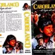 Caboblanco (1980) - Terredo