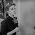 Velký zátah (1953)