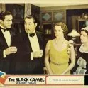 The Black Camel (1931)