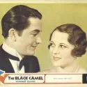 The Black Camel (1931)
