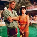Víkend v Palm Springs (1963)