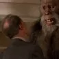 Harry a Hendersonovi (1987) - Dr. Wallace Wrightwood