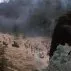 King Kong žije (1986) - King Kong