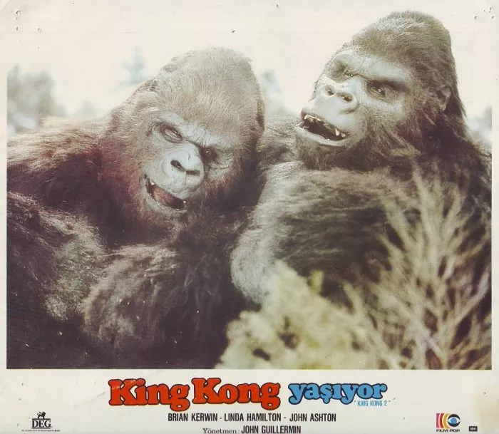 King Kong Lives (1986) - Lady Kong