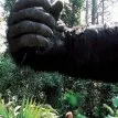 King Kong žije (1986) - Hank Mitchell