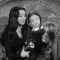 Rodina Addamsovcov (1964-1966) - Wednesday Addams