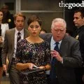 The Good Wife (2009-2016) - Bernie Bukovitz