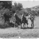 Arizona Trail (1943)