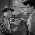 Ride 'Em Cowboy (1942)