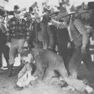 The Cheyenne Cyclone (1931)