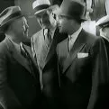 New Adventures of Get-Rich-Quick Wallingford (1931) - McGonigal