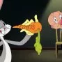 Looney Tunes: Animáky (2019-2023) - Elmer Fudd