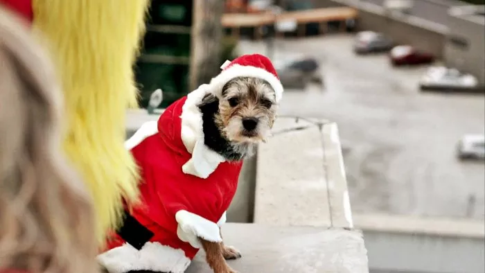 Gidget (Santa Paws) zdroj: imdb.com