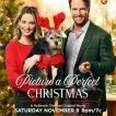 Picture a Perfect Christmas (2019) - Riggs