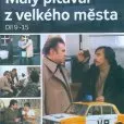 Malý pitaval z velkého města