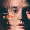 Wildfire (2020)