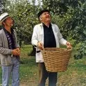 Äppelkriget (1971)