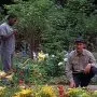 Zamřížovaná zahrada (2000) - Raw