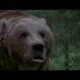 Na ostrie noža (1997) - The Bear