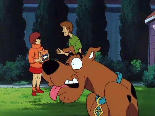 Scott Innes (Scooby-Doo), B.J. Ward (Velma Dinkley), Billy West (Norville ’Shaggy’ Rogers) zdroj: imdb.com
