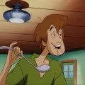 Scooby-Doo na ostrove Zombiov (1998) - Norville 'Shaggy' Rogers