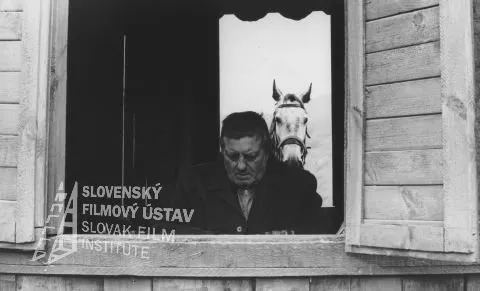 Július Pántik (starý Sopko) zdroj: skcinema.sk 
Pri otvorenom okne sedí Július Pántik (starý Sopko), v pozadí biely kôň