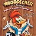 The Woody Woodpecker Show (1940-1972) - Andy Panda