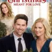 A Godwink Christmas: Meant for Love (2020)
