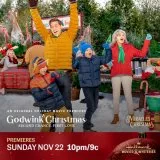 A Godwink Christmas: Second Chance, First Love (2020) - Pat